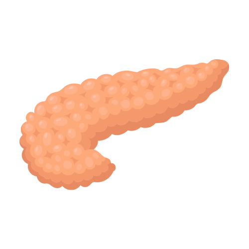 Santé endocrinienne