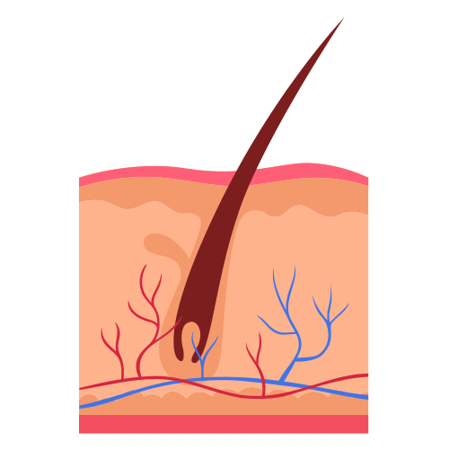 Santé de la peau et maladies génétiques