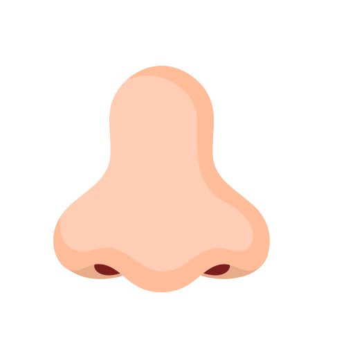 Santé oreille, nez et gorge