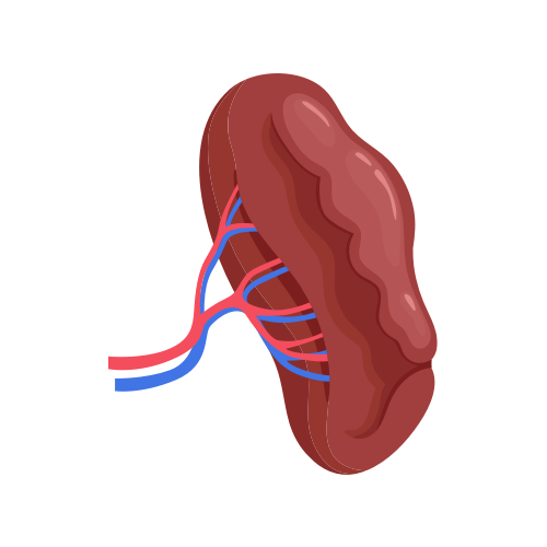 Santé du système nerveux
